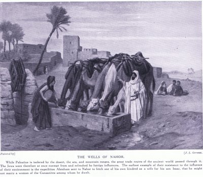 The Wells of Nahor by J. L. Jerome